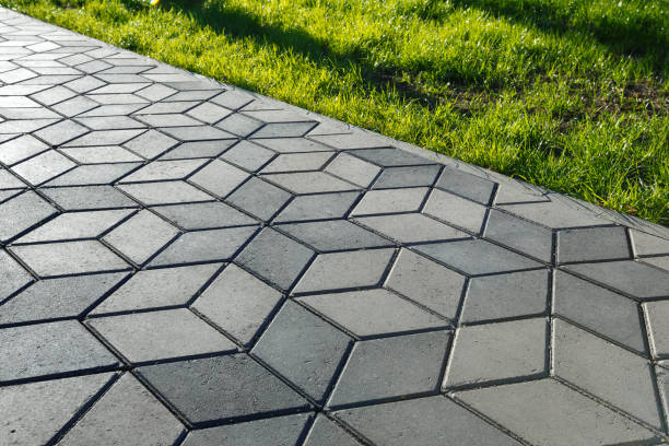 Best Driveway Paving Contractor  in Nederland, CO